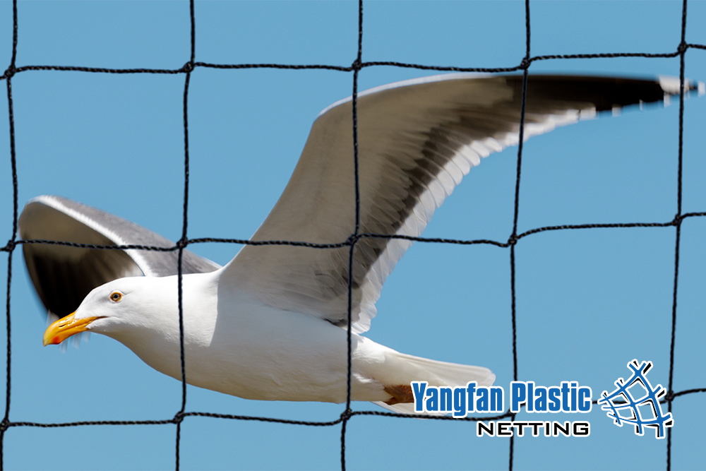 Seagull Netting _Knotted 75mm_Black